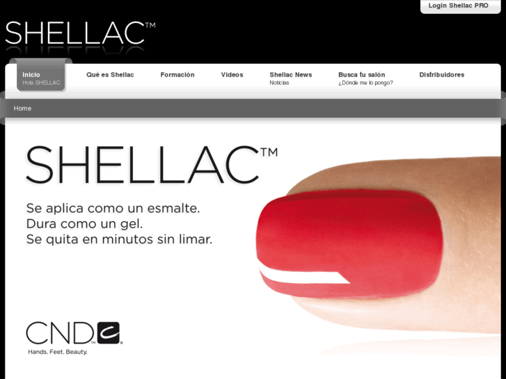 www.shellac.es