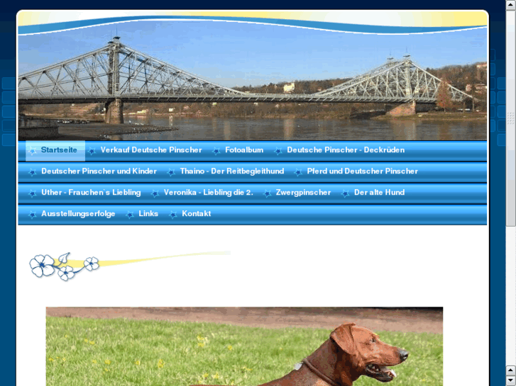 www.deutscher-pinscher.net