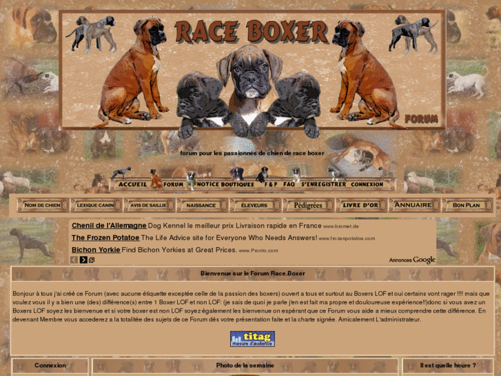 www.race-boxer.com