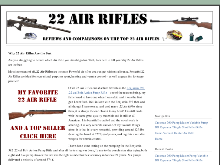 www.22airrifles.org