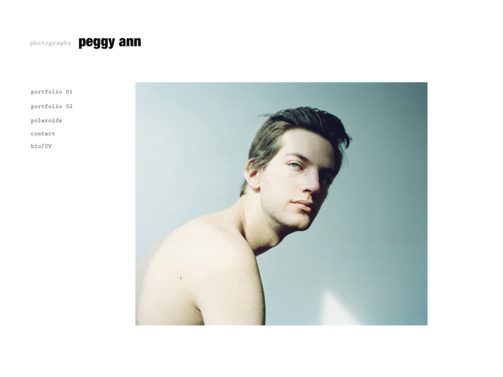 www.peggyannmcdonnell.com