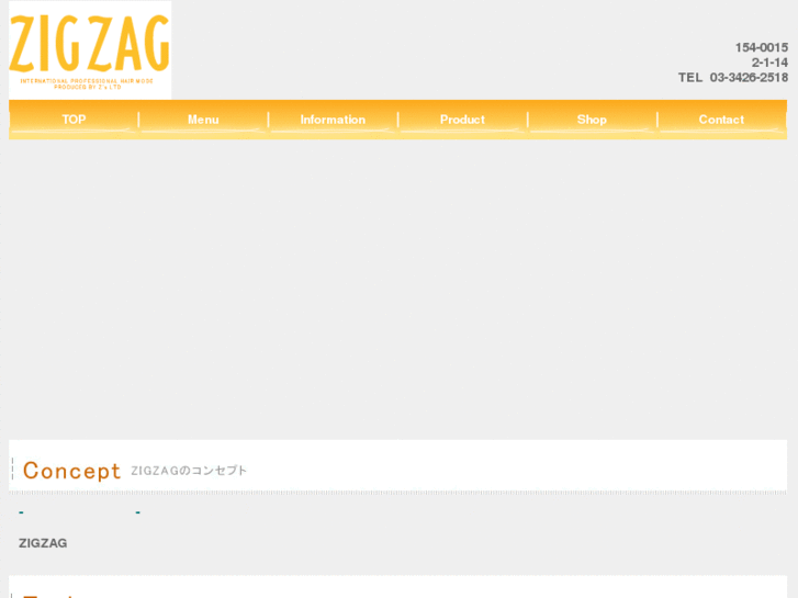 www.zigzag-hair.com