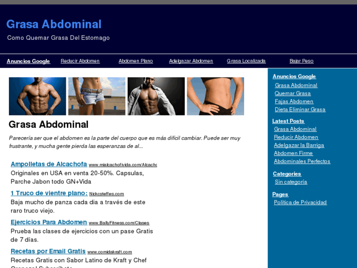 www.grasaabdominal.net