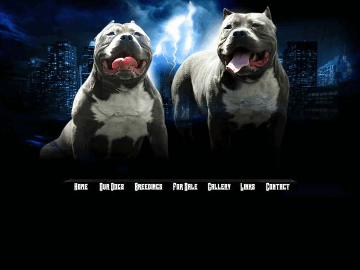 www.kingbonekennels.com