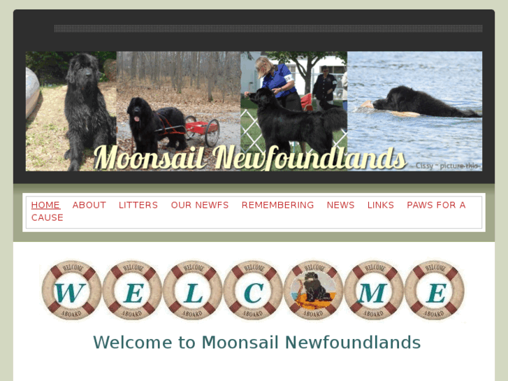 www.moonsailnewfoundlands.com