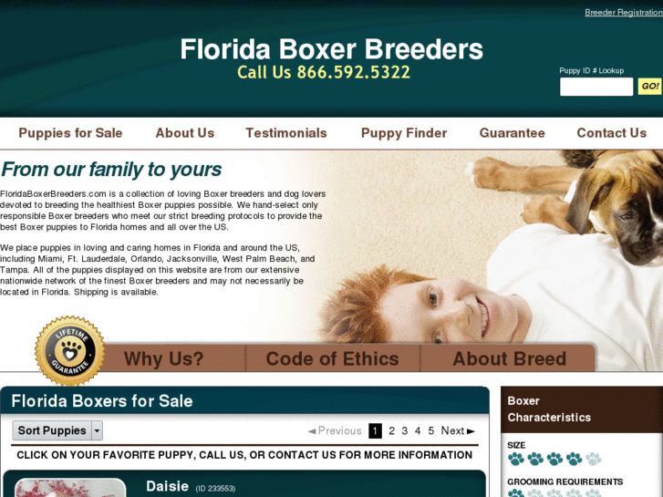 www.floridaboxerbreeders.com