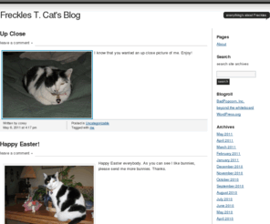 frecklestcat.org: Freckles T. Cat's Blog
