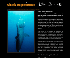 sharkexperience.com: shark experience - walter bernardis - shark experience - walter bernardis
