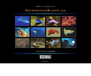 diving-pictures.com: Unterwasserbilder Dagmar   Wolfgang Fritz, Unterwasserbilder und Diashows aus allen Meeren
Unterwasserbilder aus fast allen Weltmeeren, Diashows, Vorträge, Fischerkennungen und, und, ...