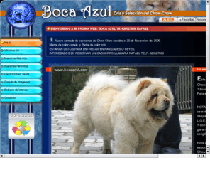 bocaazul.com: Cria y selección de la Chow-Chow
Boca azul. Criador especializado en la cria y selección del: Chow Chow.
Todos nuestros cachorros son criados por nosotros y en un ambiente familiar. 
ofrecemos seriedad y calidad.