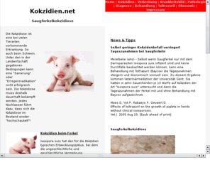 kokzidien.net: Kokzidien bei Ferkeln
Die Ferkelkokzidiose ist die wichtigste Darmerkrankung bei Ferkeln