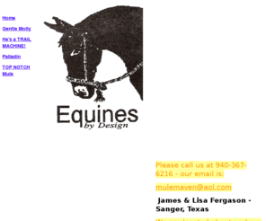 mulecongress.com: Home
Equines by Design, Sanger, Texas has been raising and training quality mules for sale since 1979.  Our mammoth jacks are the ideal for raising saddle type mules, our broodmares are quarterhorse, paint and warmbloods.  We use natural horsemanship techniques to train our friendly, good minded athletic mules.  