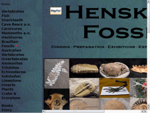 henskensfossils.nl: Henskensfossils
Henskens fossils. One of Europes largest fossil companies located in the Netherlands with online services!! 