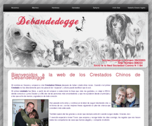 crestadoschinos.es: Crestados Chinos Debandedogge - Home
Crestados Chinos Debandedogge