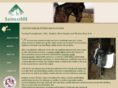 saddles101.com