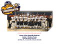 mudcatshockey.com