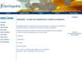 elastopole.com