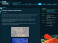lazulistudio.com