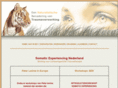 traumahealing.org