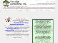 terrasysconsulting.com