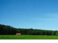 banquedumiel.org