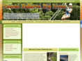 puertovallartaziplines.net