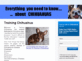 training-chihuahua.com