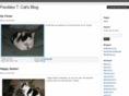 frecklestcat.org