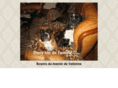 boxerdumanoirdevallonne.com