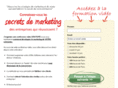 lemarketerfrancais.com