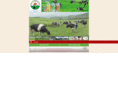 mocchaumilk.com