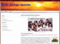 welshspringer.com
