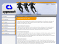 cygnusoft.com