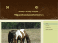 01paintsandquarterhorses.com