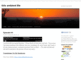 thisambientlife.com