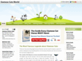 siamese-cats.net