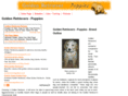 golden-retrievers-puppies.com