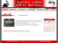 lille-arts-martiaux.com