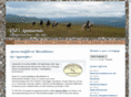 ridiammarnas.com