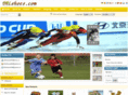 dhlshoes.com