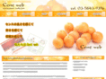 cent-web.com