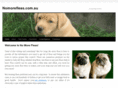 nomorefleas.com.au