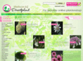 directplant.com