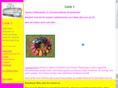 linie-1.com