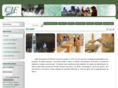 cif-consultants.com
