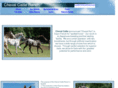 chevalcailleranch.com