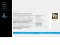 akzent-werbeagentur.com