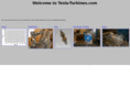 tesla-turbines.com