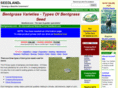 creepingbentgrass.com