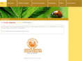 gesundonline.info